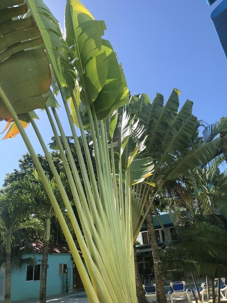 New Garden Hotel Sosua Ngoại thất bức ảnh