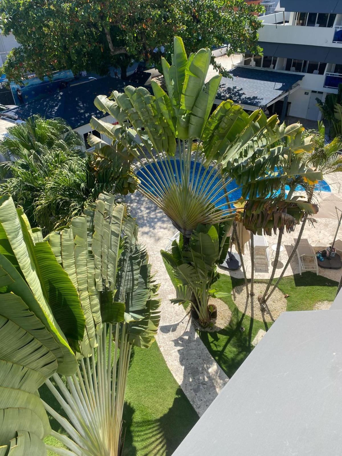New Garden Hotel Sosua Ngoại thất bức ảnh